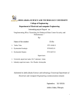 Internship Report.pdf